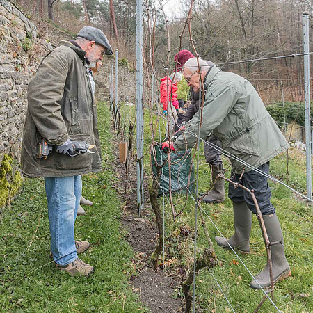 2026-03-14 Villers-la-Vigne n° 06