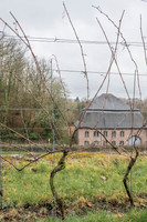 2026-03-14 Villers-la-Vigne n° 09  -  Avant