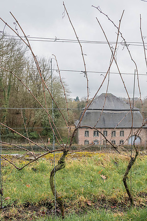 2026-03-14 Villers-la-Vigne n° 09  -  Avant