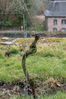 2026-03-14 Villers-la-Vigne n° 10  -  Après