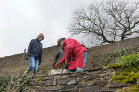 2026-03-14 Villers-la-Vigne n° 12