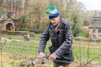 2026-03-14 Villers-la-Vigne n° 13