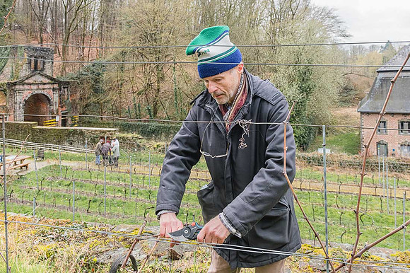 2026-03-14 Villers-la-Vigne n° 13