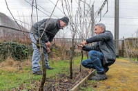 2026-03-14 Villers-la-Vigne n° 14