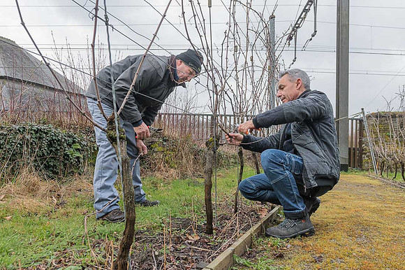 2026-03-14 Villers-la-Vigne n° 14
