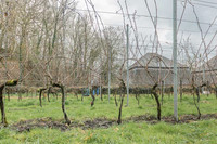 2026-03-14 Villers-la-Vigne n° 16