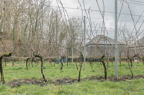 2026-03-14 Villers-la-Vigne n° 16