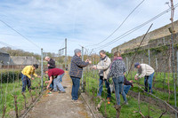2026 04 11 Villers-la-Vigne arqûre n° 01