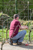 2026 04 11 Villers-la-Vigne arqûre n° 07