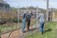 2026 04 11 Villers-la-Vigne arqûre n° 10