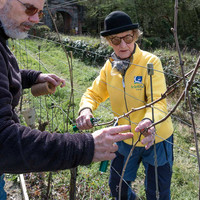 2026 04 11 Villers-la-Vigne arqûre n° 11