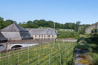 2026 05 16 déherbage n° 01