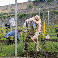 2026 05 16 déherbage n° 09
