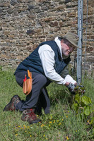 2026 05 16 déherbage n° 19