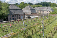 16-05-2026 Désherbage