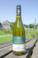 2026 05 23 ébourgeonnage - épamprage n° 12