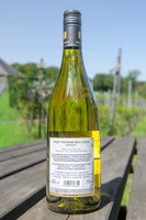 2026 05 23 ébourgeonnage - épamprage n° 13