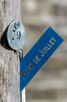26-5-2026 Conservatoire