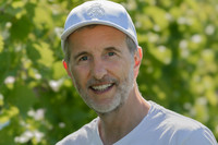 2026 07 04 vigne palissage n° 05