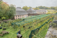 2025 10 04 Villers-la-Vigne n° 59