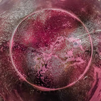 2025 10 23 Ferrmentation n° 04