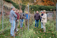 2025 11 08 Visite Villers-la-Vigne n° 2