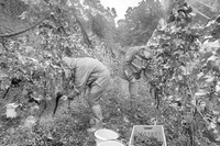 2025 10 04 Villers-la-Vigne 012 N & B