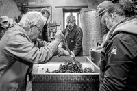 2025 10 04 Villers-la-Vigne 054 N & B