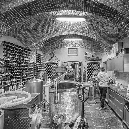 2025 10 05 Villers-la-Vigne Chais 02 N & B