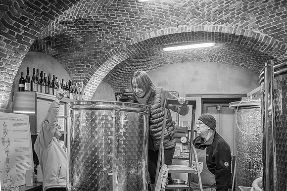2025 11 25 fermentation malolactique n° 7 N & B