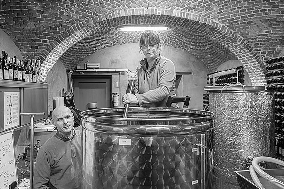 2025 11 25 fermentation malolactique n° 11 N & B