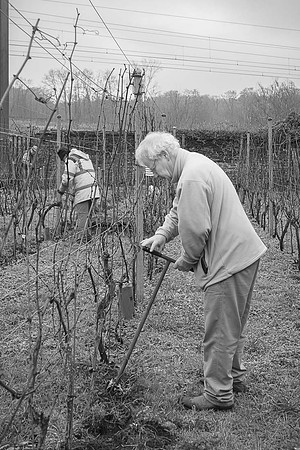 2026 01 31 Villers-la-Vigne n° 03 N & B