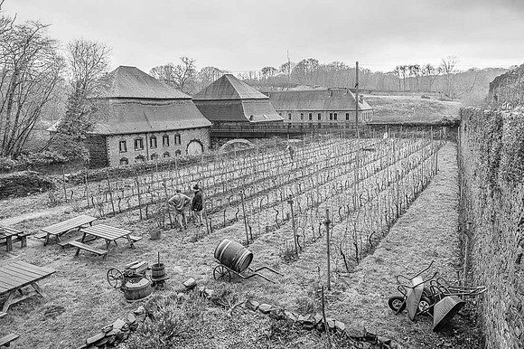 2026 01 31 Villers-la-Vigne n° 09 N & B