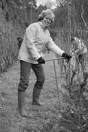 2026 02 14 Entretien vigne n° 05 N & B