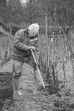 2026 02 14 Entretien vigne n° 07 N & B