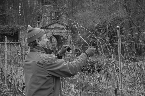2026 02 14 Entretien vigne n° 08 N & B