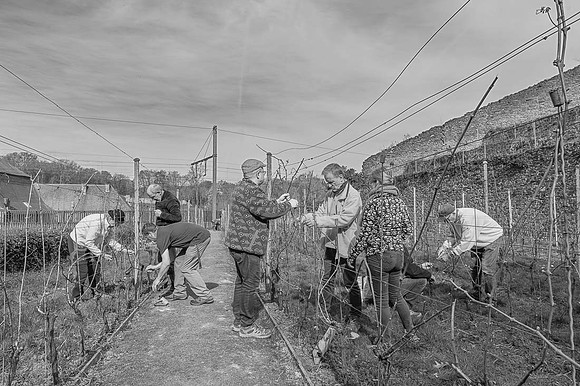2026 04 11 Villers-la-Vigne arqûre n° 01 N & B