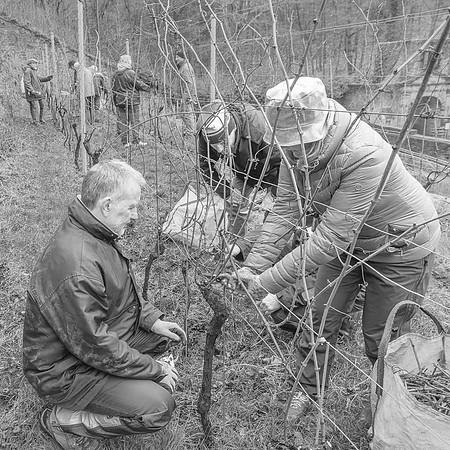 2026-03-14 Villers-la-Vigne n° 05 N & B
