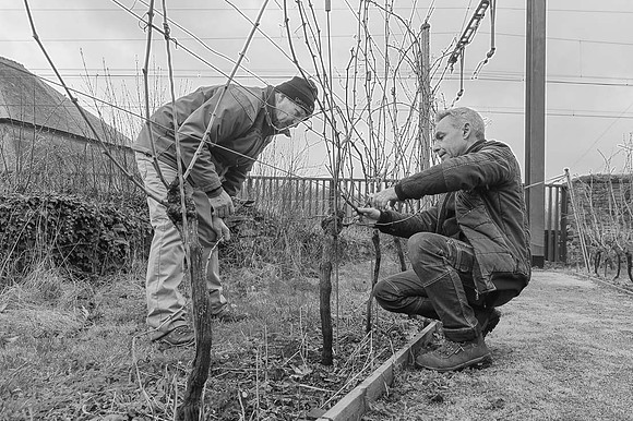 2026-03-14 Villers-la-Vigne n° 14 N & B