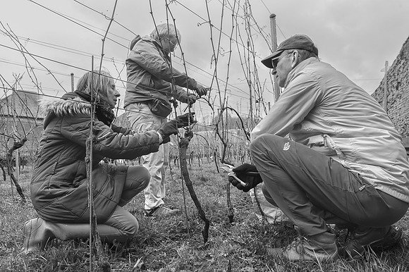 2026-03-14 Villers-la-Vigne n° 15 N & B-Edit