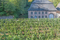2026 08 22 Vigne filets 8 n° 01