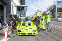 2026 04 05 Golden Horse Zolder n° 09