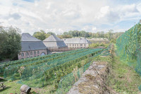 2026 09 12 pré-vendange n° 02
