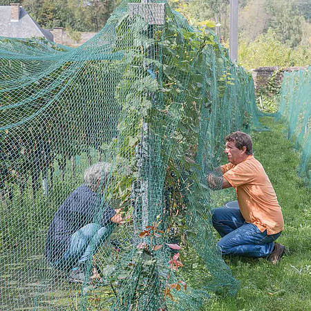 2026 09 12 pré-vendange n° 09
