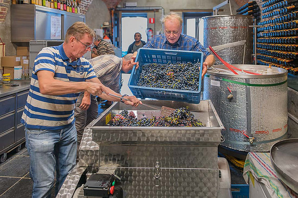 2026 09 19 Vendanges V-l-Vigne n° 22