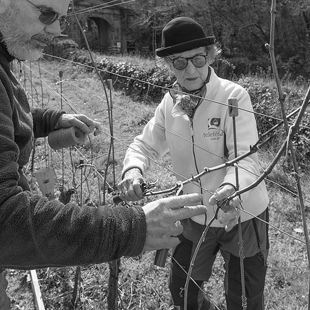 2026 04 11 Villers-la-Vigne arqûre n° 11 N & B