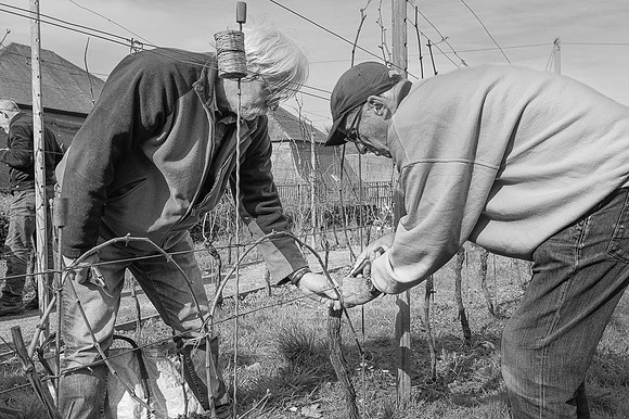 2026 04 11 Villers-la-Vigne arqûre n° 02 N & B