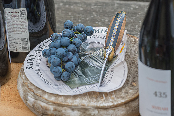 2026 09 19 Vendanges V-l-Vigne n° 46