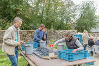 2026 09 19 Vendanges V-l-Vigne n° 17
