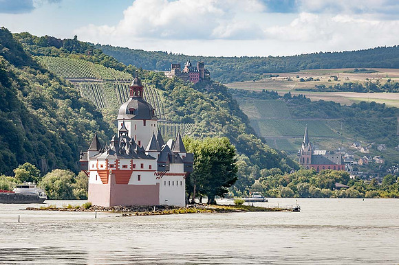 Pfalz sur le Rhin 2009